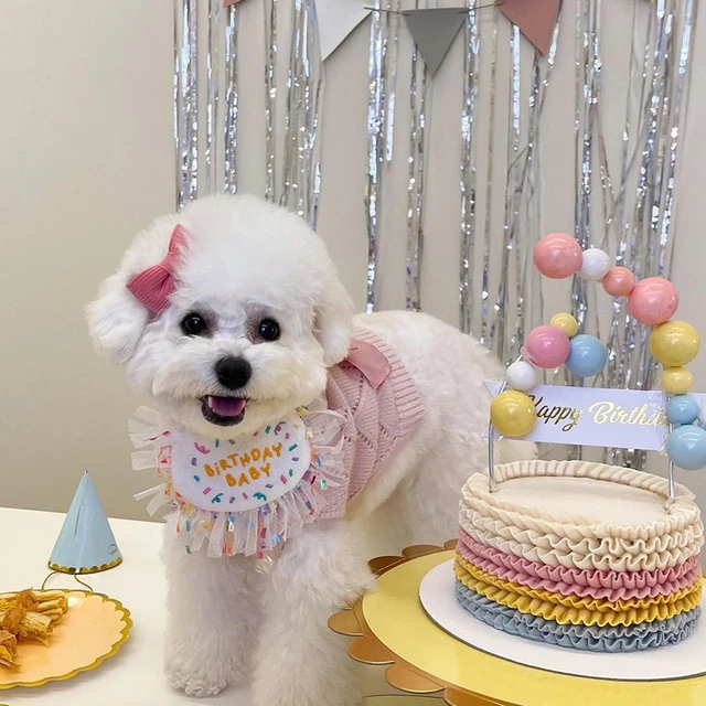 Cappello da compleanno per cani in stile coreano gatto con tappo per torta  di compleanno candela Design regalo festa di compleanno Costume copricapo  accessori per bambini - AliExpress