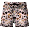 3D Cats Print Shorts Men Women Kid Fashion Y2k Leisure Oversize Short Pants Summer Cool Mens Swim Short Sport Beach Shorts 4