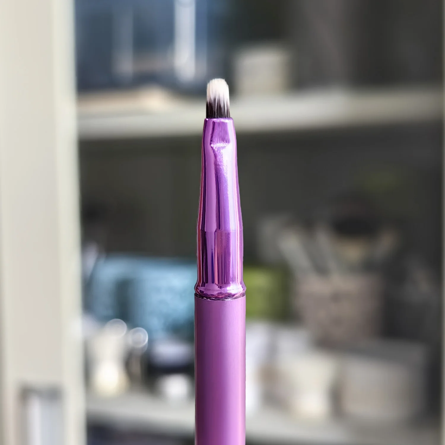 Eyes Makeup Brushes with Cover Eyeshadow Eyeliner Lip Gloss Make Up Brush - 6