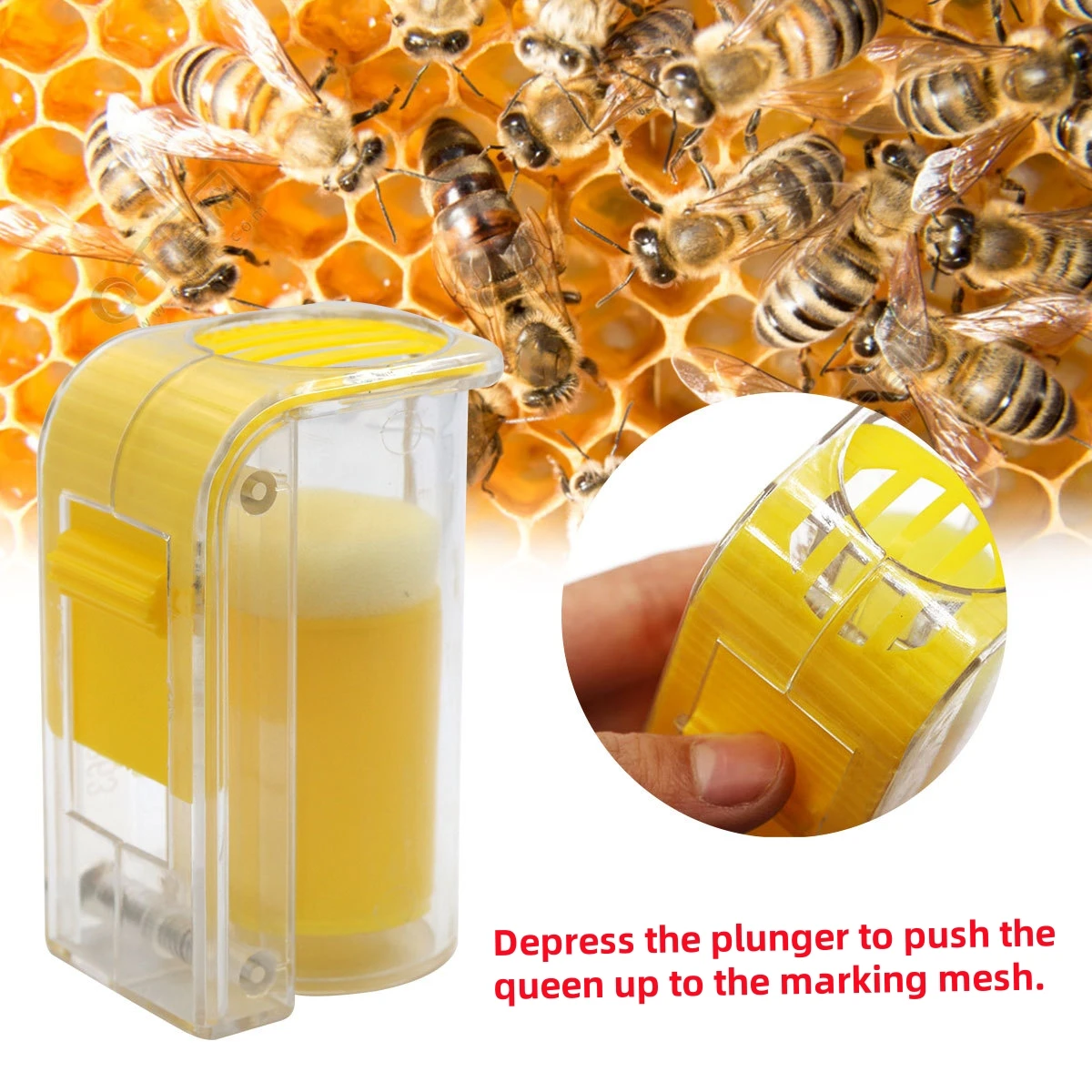 Queen Bee Yellow Marking Bottle 8 Colors Marking Pen Queen Bee Cage Push-Pull Bottle Fluorescent Pen Beekeeping Supplies 1 Set