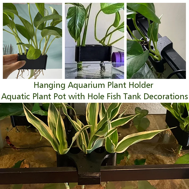 Fish Tank Plants Aquarium Plant Holder Fixed Holder Hanging Aquatic Planter Emersed Green Plant Pot With Hole 1pc