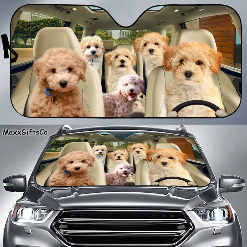 

Poochon Car Sun Shade, Poochon Windshield, Family Dogs Auto Sunshade, Dogs Car Accessories, Irish Terrier Lovers Gifts