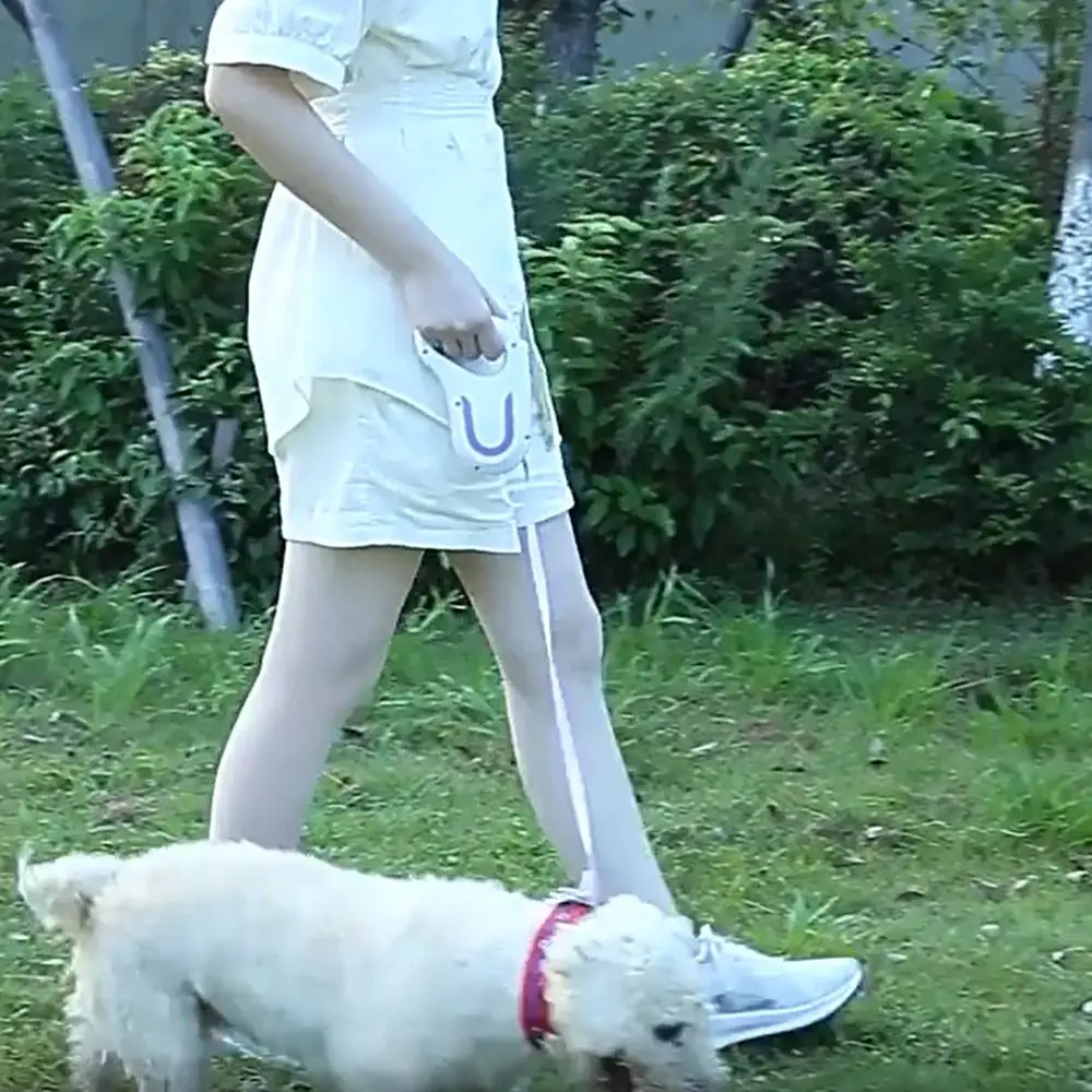 3m Extendable Automatic Dog Leash Adjustable Safety Lock Retractable Dog Leash Telescopic Plastic Dog Running Lead