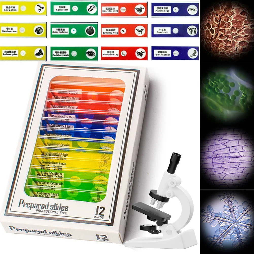 Microscopio tascabile per esperimenti scientifici per bambini con luce a LED 60-120x Giocattoli educativi per scienze biologiche per la scuola domestica alimentati a batteria