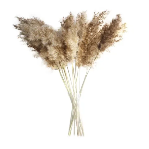 

50pc Natural Dried Flower Reed Wheat Ears Bouquet Boho Decoration Art Artificial Flower Home Bedroom Livingroom Decor декор дома