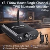 Docreate YS-T100W TPA3116 Bluetooth 5.3 Mono Amp with APP Control 12-24V Boost Mini Audio Amplifier For Outdoor PC Subwoofer US 1