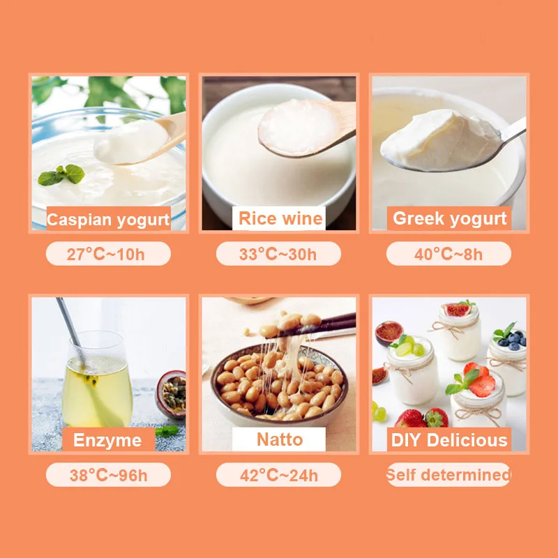 220V Electric Automatic DIY Yogurt Maker Enzyme Machine Temperature Adjustable Fermenter Rice Wine Natto Fermenting Timer 1L EU 4