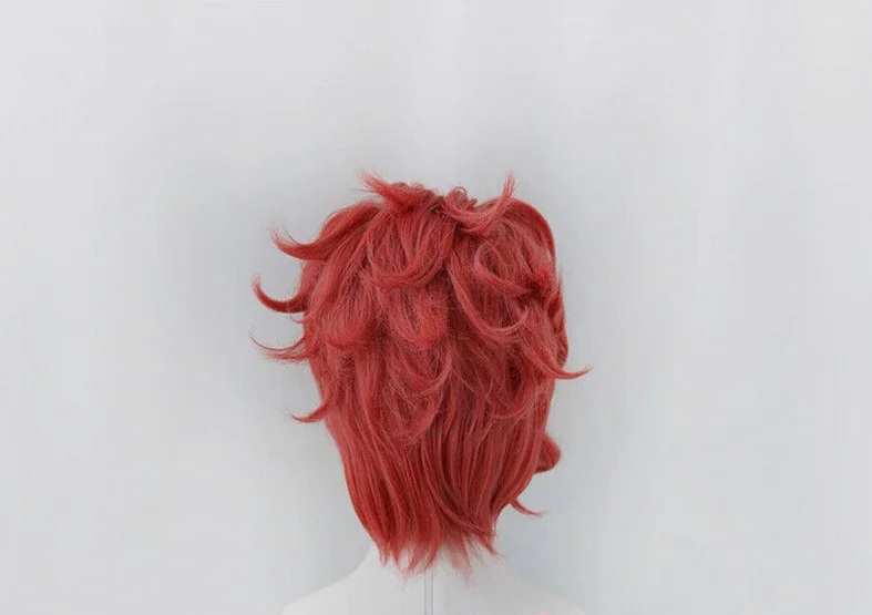 JOJO Stardust Crusaders Kakyoin Noriaki ڽ  ª Ƽ  ǻ 