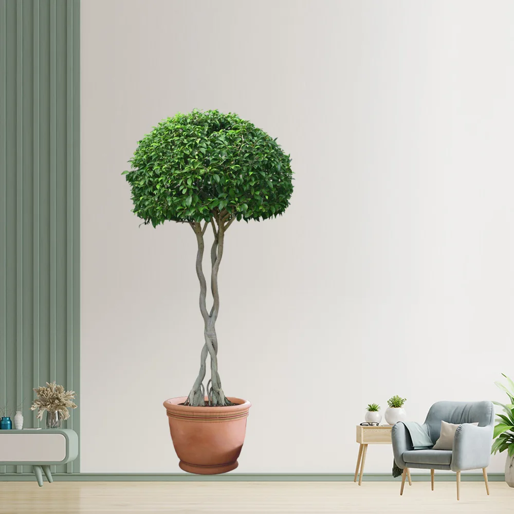 

1pc PVC Wall Decal, Potted Plant Pattern Wall Sticker For Home Wall Decor Green Leaves And Plants Potted Stickers