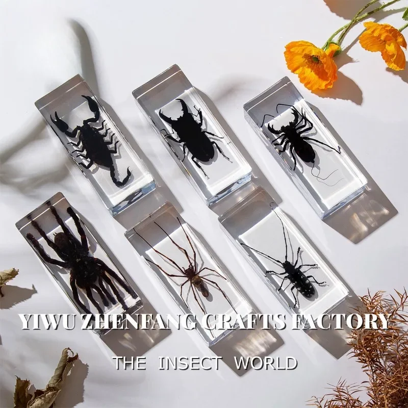 Resin Epoxy Real Bug Insect Specimen Large Tarantula Scorpion Taxidermy Clear Resin Centipede Insect Sample Bug Collection Decor resin starfish ornaments butterfly specimen