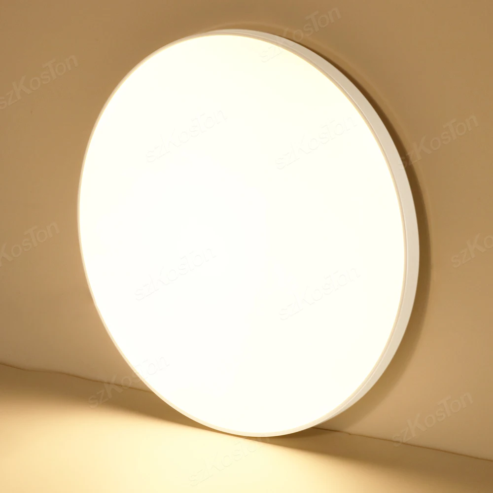 Ultra Thin LED Ceiling Lamp with Adjustable Color Lighting