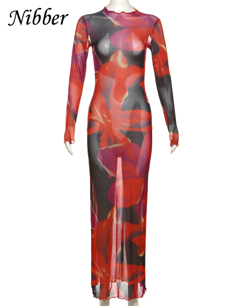 Nibber Colorful Print Dress Women Velvet See Through Skinny Full Sleeve Lace Hem Autumn Trend Stretch Casual Basic Long Bodycon 6