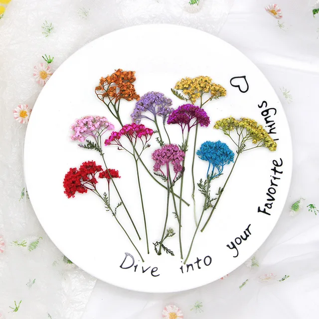 Fiori Secchi Naturali Per Resina - Set 12 Tipi, Per Decorazioni Fai Da Te, Bianco - Foto 6