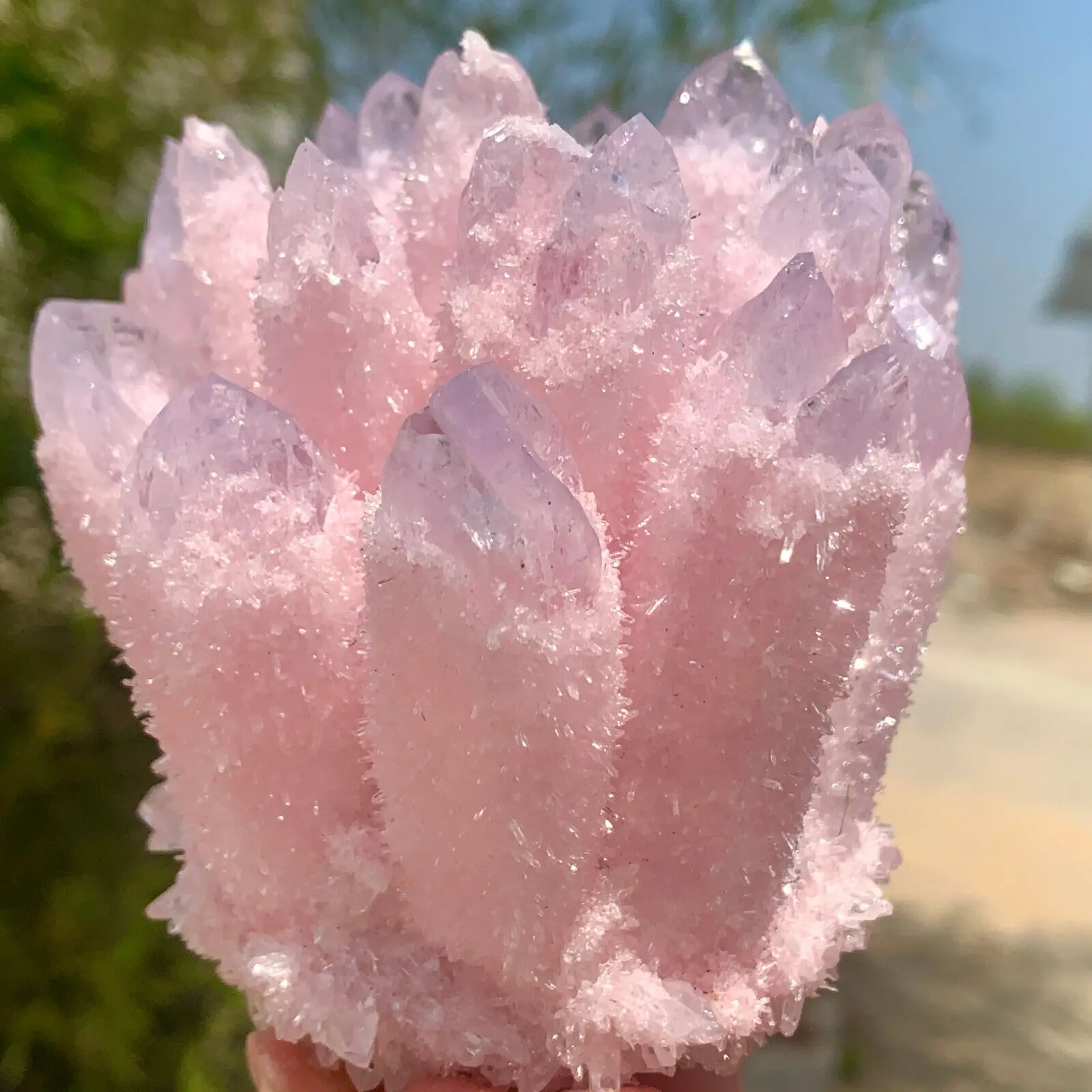Natural Purple Pink Cluster Flower Energy Gem Reiki Healing Room Office Decoration Gift 6