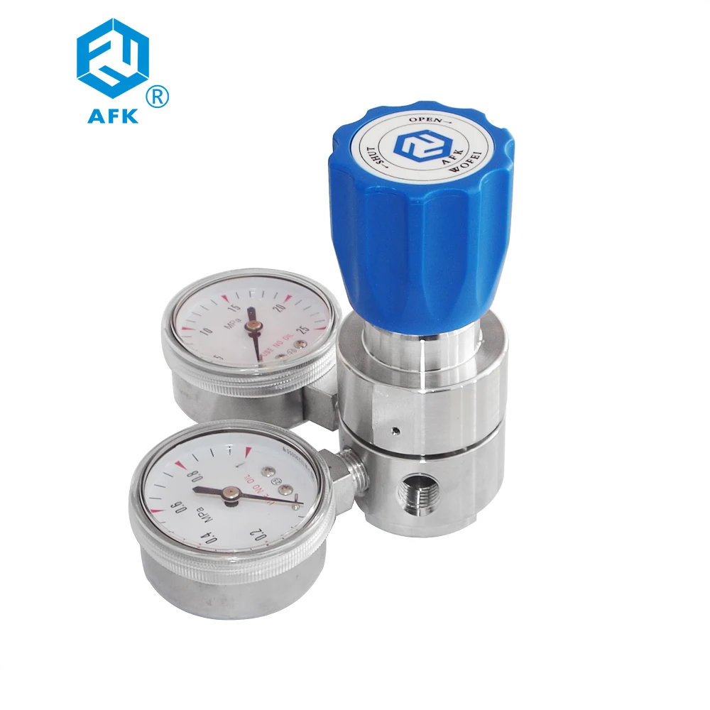 Critical Purity Pressure Reducer Nitrogen 300 bar High Pressure Piston Regulator for Inert Gases reading chekhov a critical journey