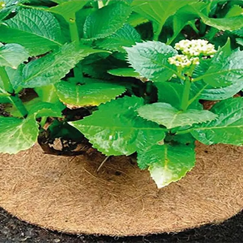 Circular Coconut Shell Fiber Plant Plastic Film Coconut Brown Silk Flat Mat Tight Grass Prevention Mat Flower Pot