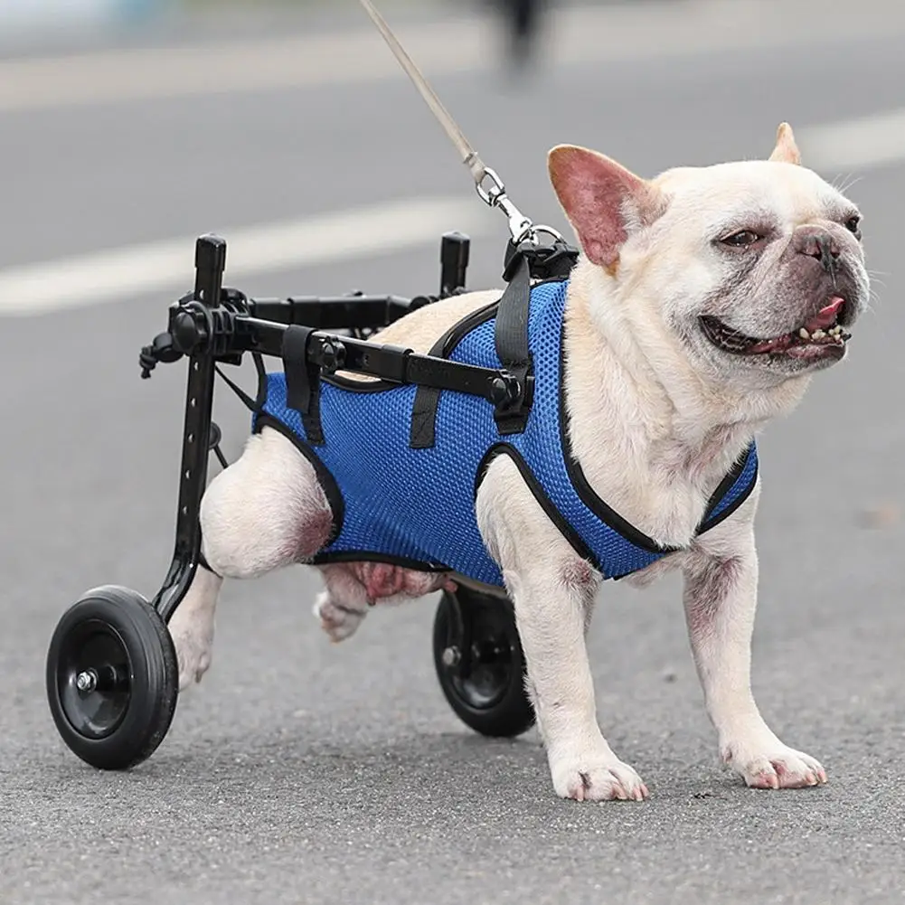 

Pet Wheelchair Cart Adjustable Pet Mobility Aids with Wheels Pet Cat Dog Rehabilitation Walking Mobility Aid Trolley Legs