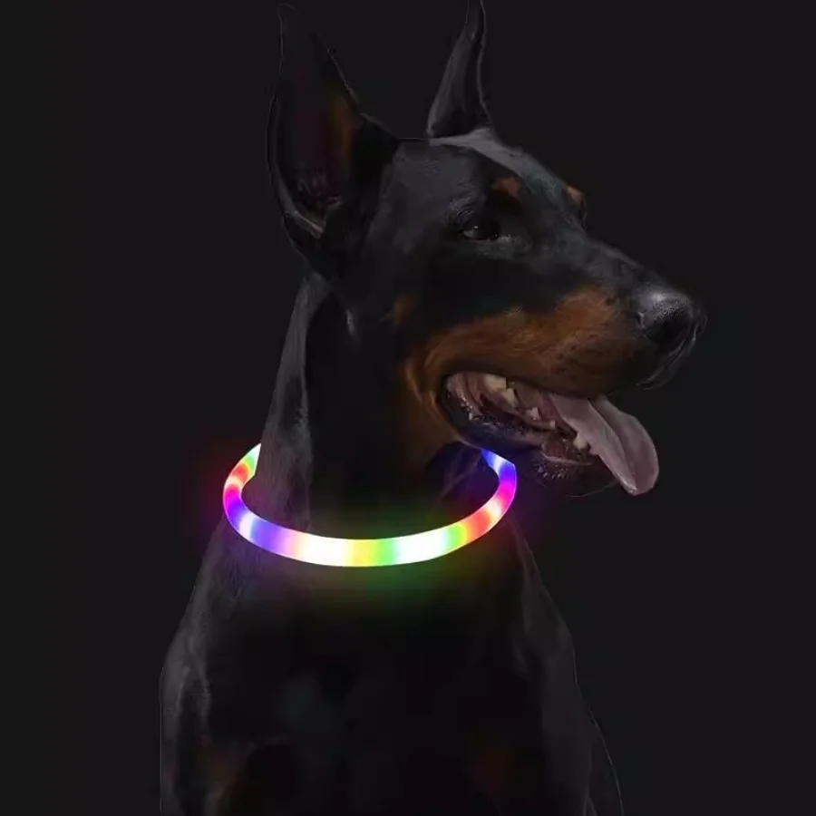 

Glowing Dogs Collar Personalized Luxury Anti-Loss Medium Dog Harness Adjustable Accessories Collares Para Gato Pet Supplies