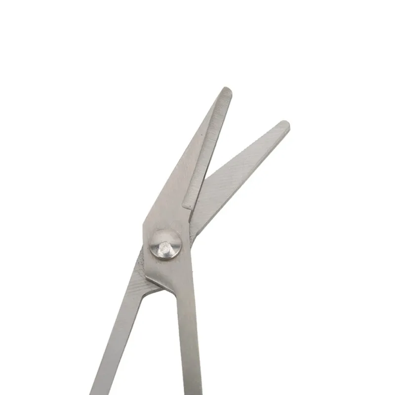 https://ae01.alicdn.com/kf/Sa89eeebb9aa14f34aa76348e6279eae4Z/1PC-21cm-Nail-Toenail-Scissor-Long-Reach-Easy-Grip-Pedicure-Trim-Chiropody-Clipper-Manicure-Trimmer-For.jpg