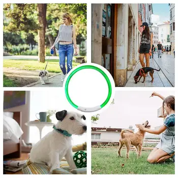 Pet Dog Luminous Collars LED Light Collar Anti-Lost Dog Collar USB Rechargeable Dog Collar for Night Walking Travel Daily Life 2