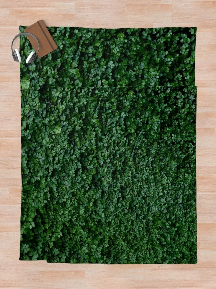 ķ�ο� ���� ������ ������ ���, ���� ���, ���� ħ��