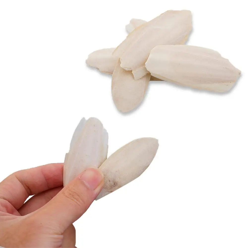 Parrot toy bird toy Cuttlefish bone For parrot Natural cuddle bone chew toys Chewing cuttlebone Easy to absorb Exercise pet's sensitivity 10Pcs