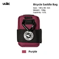 PB6XS Purple