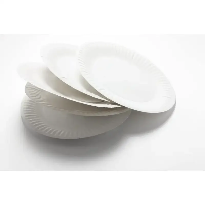 9 Inch Paper Plate Uncoated Plates White, 200ct