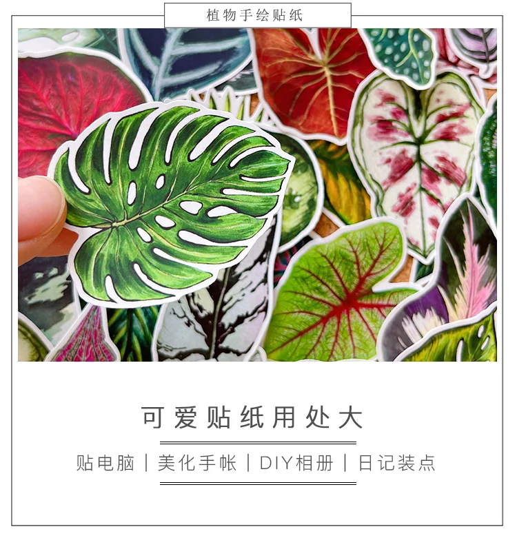 50pcs Cute Plant Leaf Handbook Sticker Material Small Fresh Handbook Stickers Children's Photo Album Growth Record Decoration