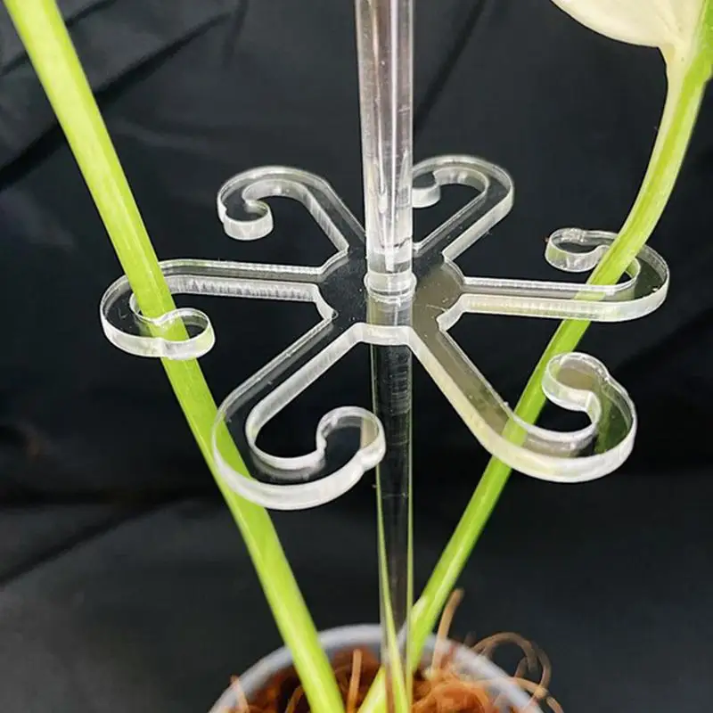 Plant Stem Hook With Stake Holder Clear Acrylic Plant Holder Hook Climbing Support Clips for Orchid Rose Flowers
