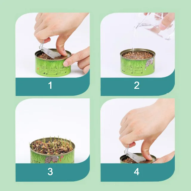 1Set Pet Cat Sprout Edény Termesztése Hidroponikus Növényi Macska Füves Csírázás Emésztés Indító Üvegházhatású Növekedés Doboz - Image 4