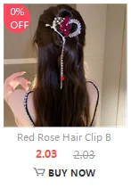 Koreanische Art Frauen Haar Twister Kristall Flügel Locken wickler exquisite Temperament Haarnadel Curling Haar Haarnadeln Haarschmuck – Detail 7