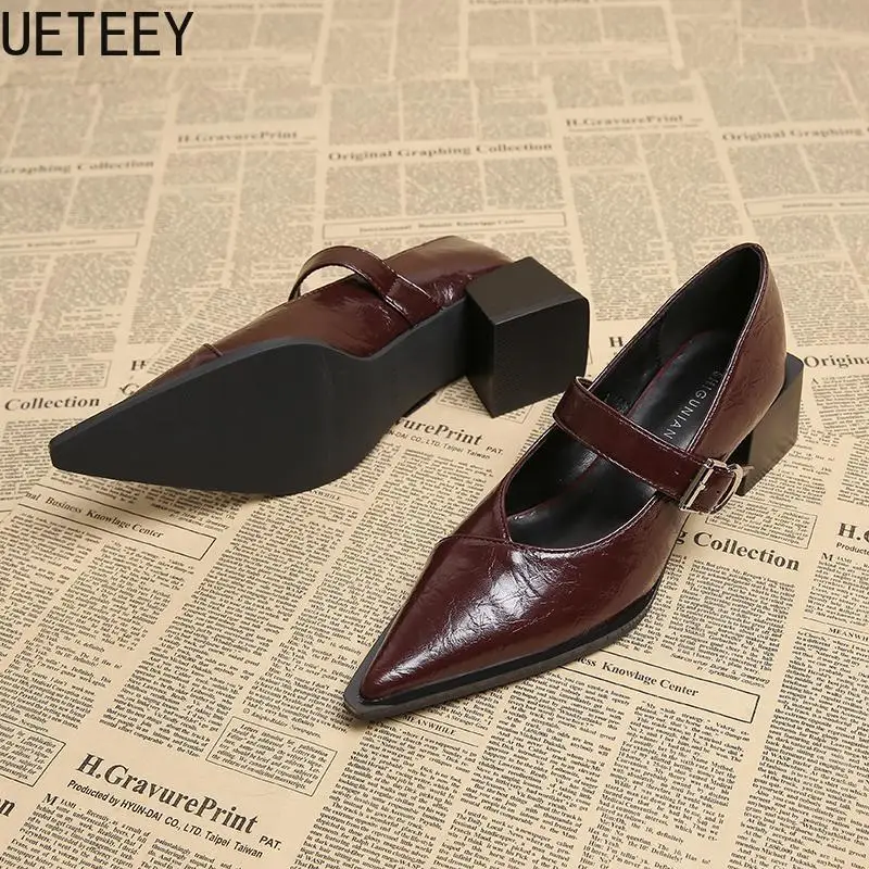 Designer Vintage Pointed Toe Women Mary Jane Shoes Fashion Shallow Buckle Shoes Spring Ladies Elegant Dress Thick Heel Shoes 5