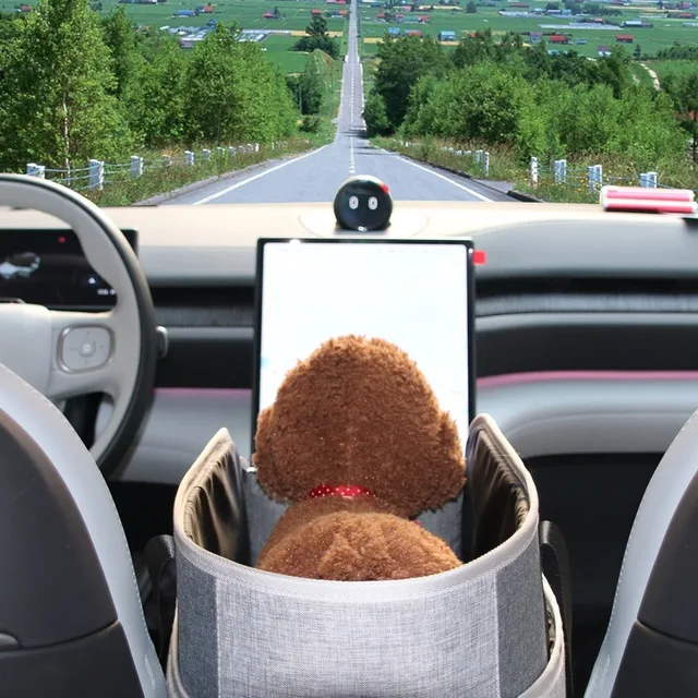 Dog Car Seat Bed Car Central Portable Car Seat Central Safety Travel Cat Dog Bed Transport for Bag Chihuahua Accessories 2
