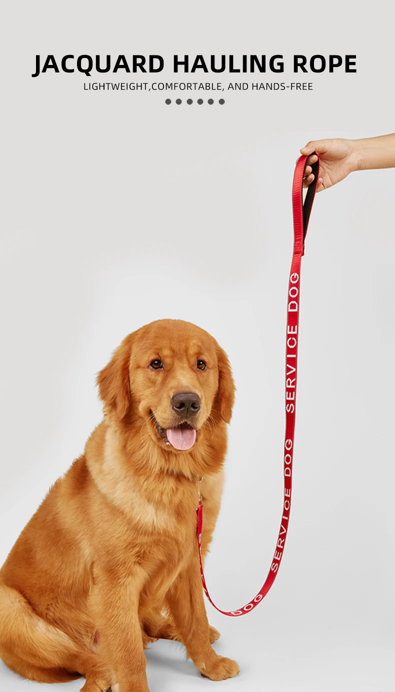 coleira de cachorro de suporte coleira de animal letras suprimentos ou acessórios para atendimento ao colete de cachorro