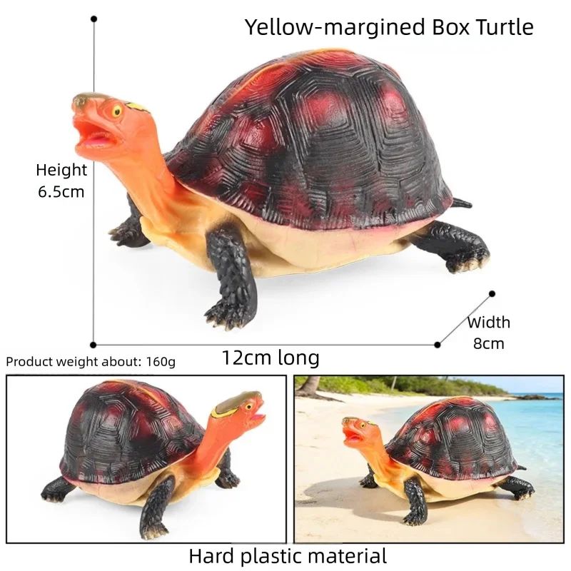 Realistic Aquatic Animal Figurine Set - Otter & Box Turtle Educational Display Statue