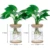 Transparent Hydroponic Flower Pot Imitation Glass Soilless Planting Potted Green Plant Resin Flower Pot Home Vase Decor 8