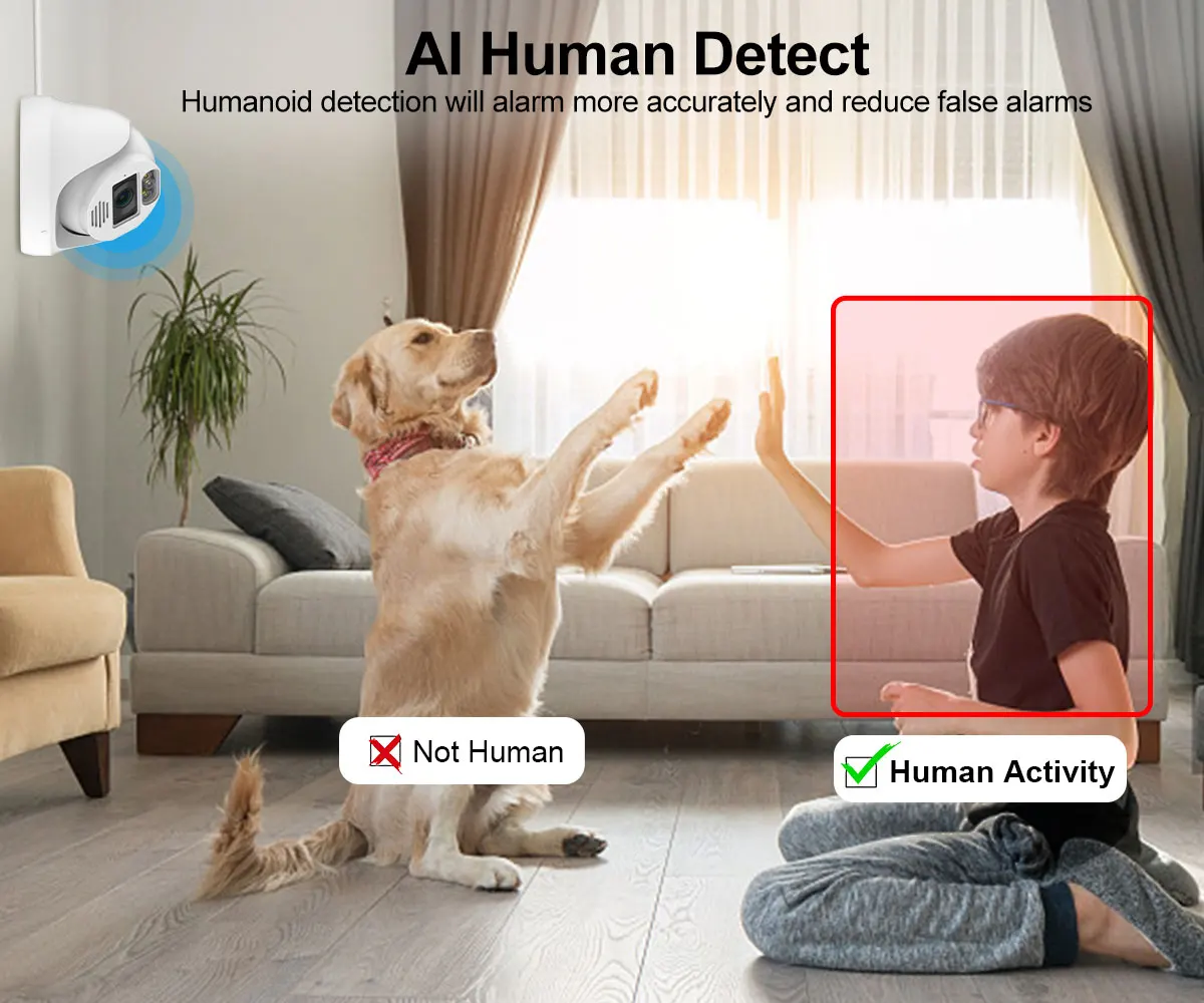 Рисунок 2 - Купольная система видеонаблюдения MISECU