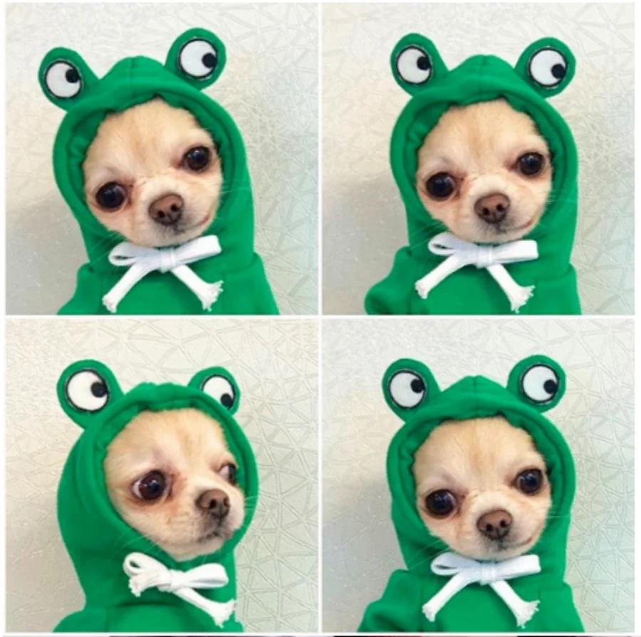 Green Cute Frog Pet Sweater - Puppy Hoodie for Dogs and Cats