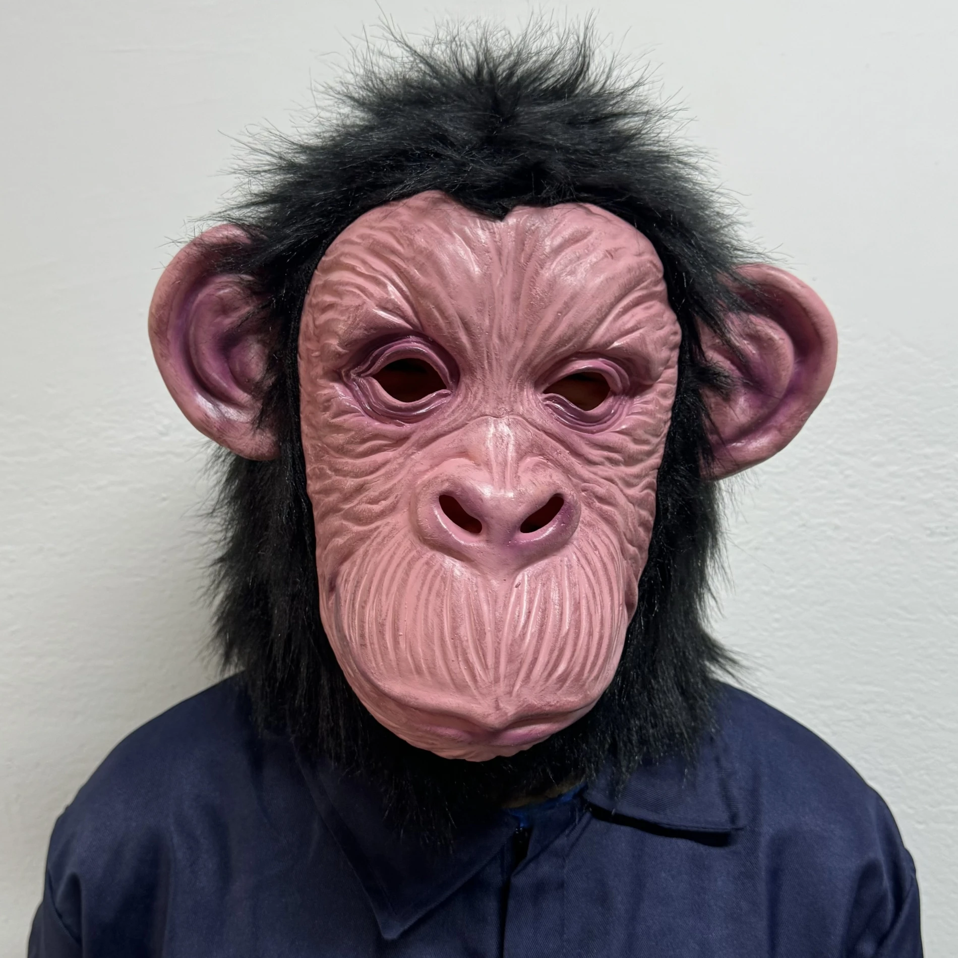Enfoque Selectivo De Un Chimpancé Negro En El Desierto Con Un Filtro Blanco  Y Negro Foto de archivo - Imagen de animales, salvaje: 256593170, image size:1900x1900