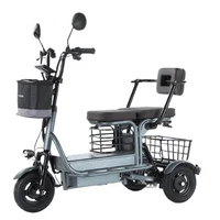 Tricycle électrique puissant pour parents, enfants et adultes, 3 roues, pour personnes âgées, 2 places, batterie 800W amovible, longue autonomie, scooter électrique 60 km 1