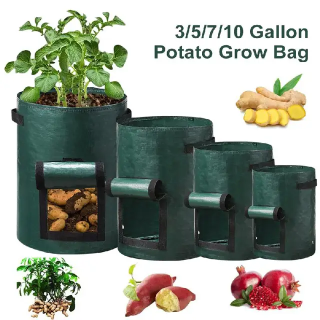 Uyangg Burgonya Termesztési Táskák Pe Zöldség Ültetvényes Táska Diy Szövet Termesztett Kerti Edények Szerszámok Vegetabert 3/5/7/10 Gallon