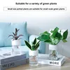 Small Hydroponic Green Plant Vase Home Vase Decor Transparent Imitation Glass Soilless Plant Pots Pot for Home Decoration 6