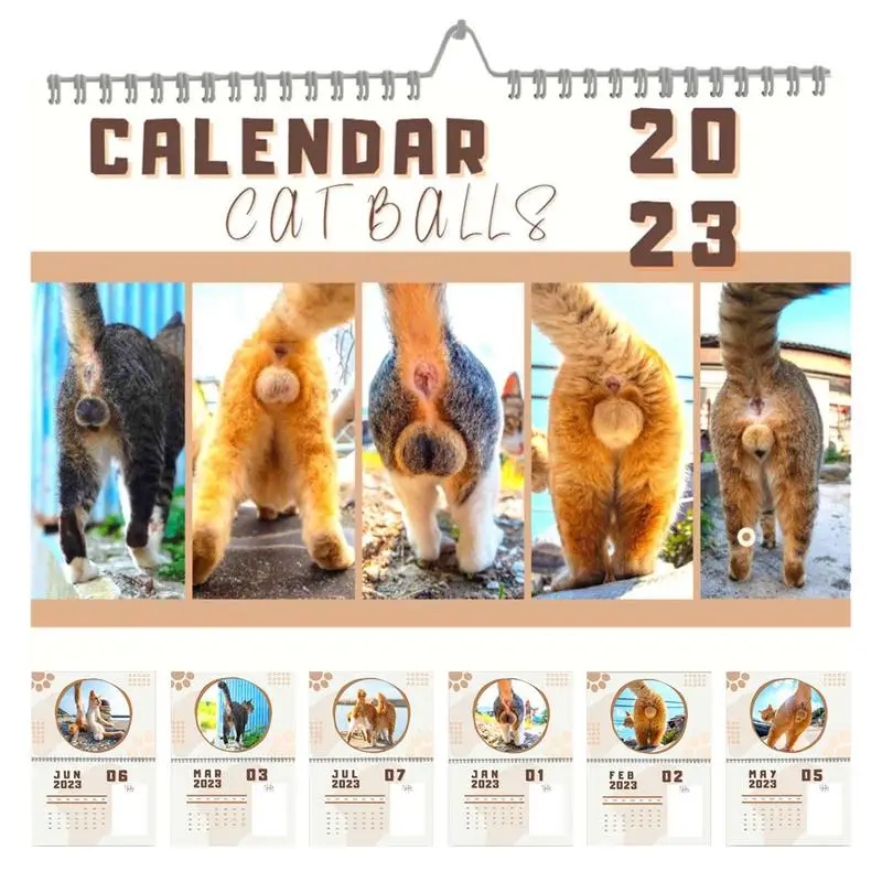

Cats Buttholes Balls Calendar Funny Cat Balls Calendar Quirky Christmas Gifts Hangable Wall Calendar