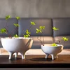 White Ceramic Flower Pot Tripod Fruit Bowl Desktop Storage Container Flower Vase Floral Arrangement Accessories Flowerpot 2