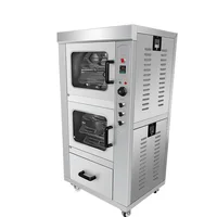 Industrial Ventilated Gas Mini Oven 1