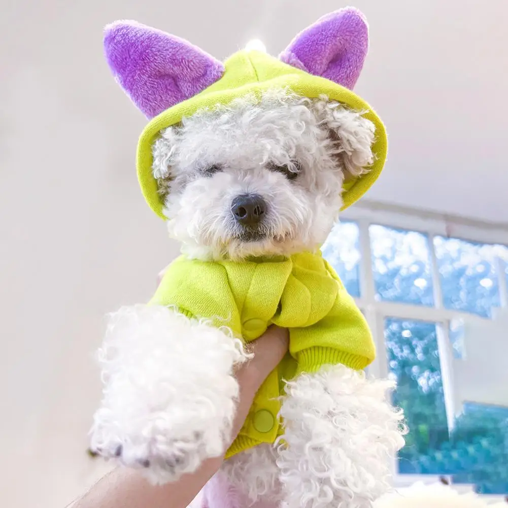 귀여운 고양이 후드, 보온 긴팔 가디건, 애완 동물 후드, 맨투맨 원피스 업, 가을