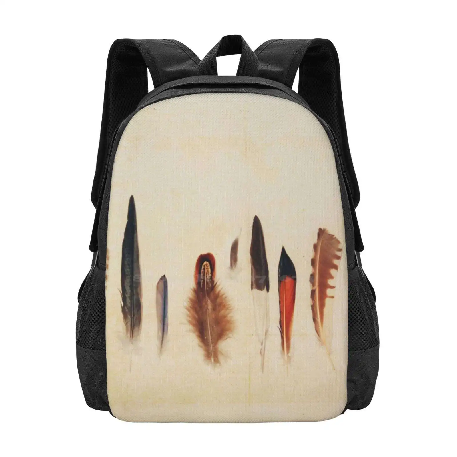 

Feather Study No. 1 New Arrivals Unisex Bags Student Bag Backpack Feathers Feather Study Nature Still Life Tribal Vintage