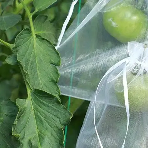 50Pcs Grapes Fruit Protection Bags Pest Control Anti-Bird Garden Netting Bags Mesh Agricultural Tree Garden Tool Bags