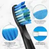 Seago Replacement Toothbrush Heads for Seago SG-575/507B/551/958/908/909/917/610/659/719/910/548 Electric Toothbrush 6
